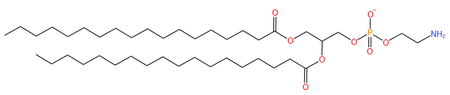 二硬脂酰基磷脂酰乙醇胺,DSPE