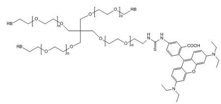 四臂PEG罗丹明,4ARM-PEG-RB