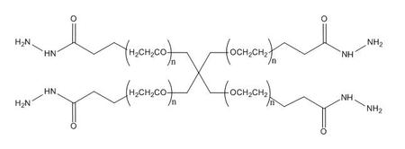 四臂PEG酰肼,4ARM-PEG-HZ