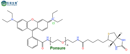 RB-PEG-Biotin,罗丹明PEG生物素