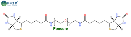 Biotin-PEG-Biotin,生物素PEG生物素