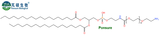 DSPE-PEG-NH2,磷脂PEG氨基,MW(PEG):2000,474922-26-4