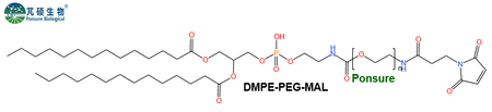 DMPE-PEG-MAL,二肉豆蔻酰磷脂酰乙醇胺PEG马来酰亚胺