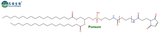 DSPE-PEG2000-MAL,磷脂PEG马来酰亚胺,MW(PEG):2000,1190924-04-9
