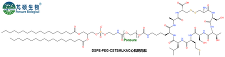 DSPE-PEG-CSTSMLKAC心肌靶向肽，磷脂PEG心肌靶向肽