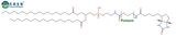 DSPE-PEG-Biotin,磷脂PEG生物素,MW(PEG):2000,740794-01-8