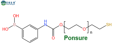 PBA-PEG-SH,苯硼酸PEG巯基,PBA-PEG-Thiol