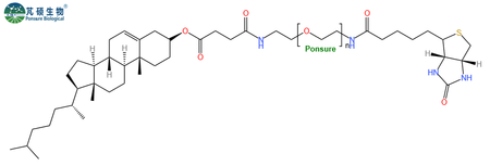 CLS-PEG-Biotin,Chol-PEG-Biotin,胆固醇PEG生物素,Cholesterol-PEG-Biotin