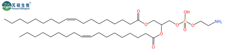 4004-05-1,二油酰磷脂酰乙醇胺,DOPE