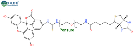 FITC-PEG-Biotin,异硫氰酸荧光素PEG生物素