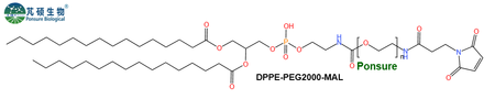 DPPE-PEG-MAL,二棕榈酰磷脂酰乙醇胺PEG马来酰亚胺