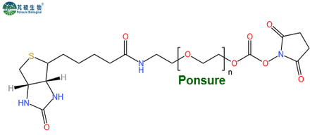 Biotin-PEG-NHS,生物素PEG活性酯