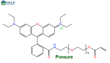 RB-PEG-AC,罗丹明PEG丙烯酸酯