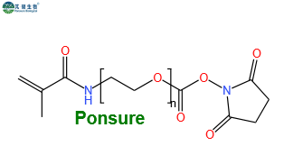 MACA-PEG-NHS,甲基丙烯酰胺PEG活性酯