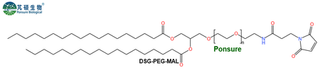DSG-PEG-MAL,二硬脂酰磷脂酰甘油PEG马来酰亚胺