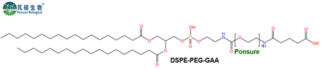 DSPE-PEG-GAA,磷脂PEG丁酸,磷脂PEG戊二酸