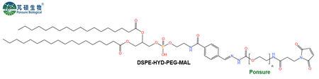 DSPE-Hyd-PEG-MAL,磷脂-酰腙键-PEG马来酰亚胺