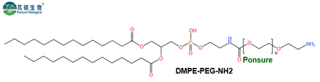 DMPE PEG Amine, DMPE-PEG-NH2,二肉豆蔻酰磷脂酰乙醇胺PEG氨基