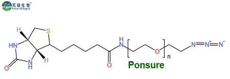 Biotin-PEG-N3,生物素PEG叠氮,Biotin-PEG-Azide