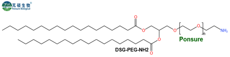 DSG-PEG-NH2,二硬脂酰磷脂酰甘油PEG氨基