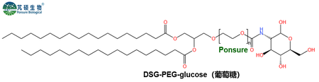 DSG-PEG-Glucose,二硬脂酰磷脂酰甘油PEG葡萄糖
