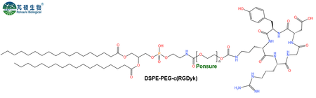 DSPE-PEG-c(RGDyk),磷脂PEG-c(RGDyk)肽