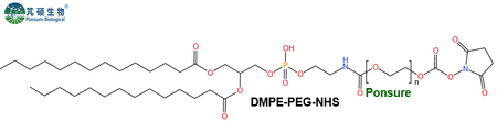 DMPE-PEG-NHS,二肉豆蔻酰磷脂酰乙醇胺PEG活性酯