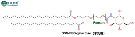 DSG-PEG-Galactose,二硬脂酰磷脂酰甘油PEG半乳糖