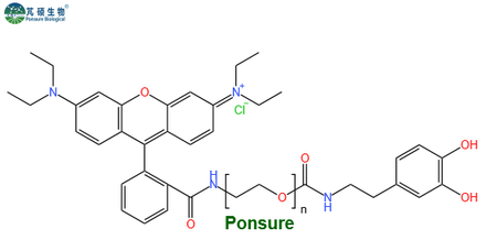 RB-PEG-Dopamine,罗丹明PEG多巴胺