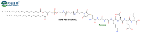 DSPE-PEG-CGGKDEL,磷脂PEG-CGGKDEL肽