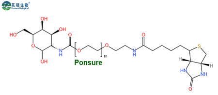 Galactose-PEG-Biotin,半乳糖PEG生物素