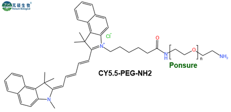 CY5.5-PEG-NH2,CY5.5-PEG氨基,CY5.5-PEG-Amine
