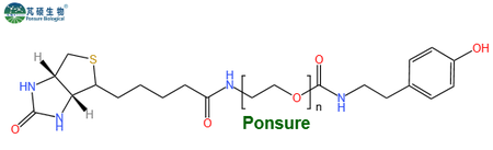 Biotin-PEG-Tyramine,生物素PEG酪胺