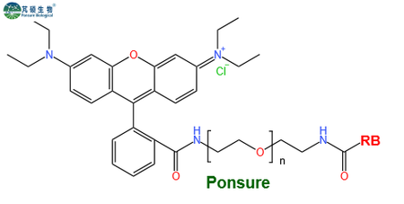 RB-PEG-RB,罗丹明B-PEG-罗丹明B,Rhodamine B-PEG-Rhodamine B