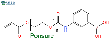 PBA-PEG-AC,苯硼酸PEG丙烯酸酯