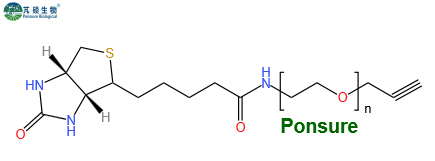 Biotin-PEG-Alkyne,生物素PEG炔基