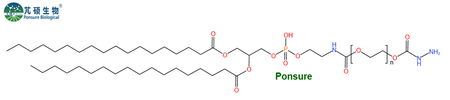DSPE-PEG-Hydrazide,磷脂PEG酰肼,DSPE-PEG-HZ