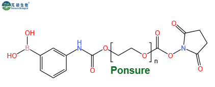 PBA-PEG-NHS,苯硼酸PEG活性酯