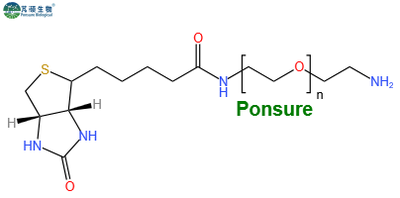 Biotin-PEG-NH2,生物素PEG氨基,Biotin-PEG-Amine