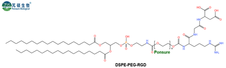 DSPE-PEG-RGD,磷脂PEG-RGD肽
