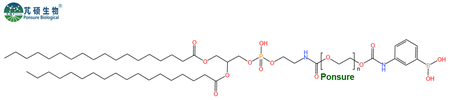 DSPE-PEG-PBA，磷脂PEG苯硼酸