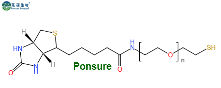 Biotin-PEG-SH,生物素PEG巯基,Biotin-PEG-Thiol
