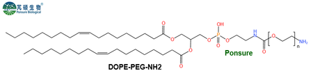 DOPE-PEG-NH2,二油酰磷脂酰乙醇胺PEG氨基,DOPE-PEG-Amine