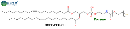 DOPE-PEG-SH,二油酰磷脂酰乙醇胺PEG巯基,DOPE-PEG-Thiol