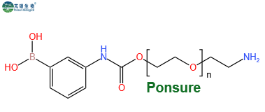 PBA-PEG-NH2,苯硼酸PEG氨基