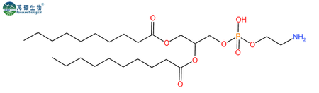 253685-27-7,二癸酰磷脂酰乙醇胺,DDPE