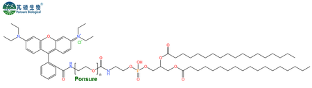 RB-PEG-DSPE,罗丹明PEG磷脂