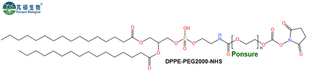 DPPE-PEG-NHS,二棕榈酰磷脂酰乙醇胺PEG活性酯