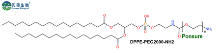 DPPE-PEG-NH2,二棕榈酰磷脂酰乙醇胺PEG氨基,DPPE-PEG-Amine