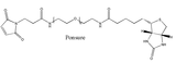 Biotin-PEG-MAL,生物素PEG马来酰亚胺